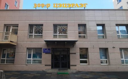 309 ДҮГЭЭР ЦЭЦЭРЛЭГИЙН ТУСЛАХ БАГШ ХҮҮХДҮҮДИЙГ САНДАЛТАЙ НЬ ХҮЛЖ, ЗОДОЖ ГЭМТЭЭЖЭЭ