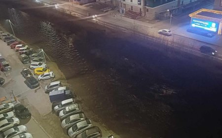 ШАР УСНЫ ҮЕРИЙН ЭРСДЭЛ НЭМЭГДСЭЭР БАЙНА