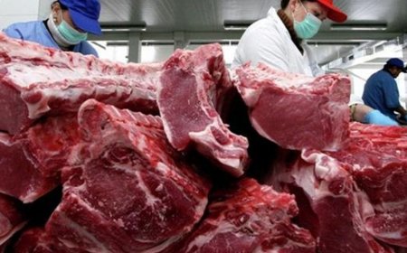 ҮХРИЙН МАХ ЖИЖИГЛЭНГЭЭР 15-16 МЯНГАН ТӨГРӨГ БАЙНА