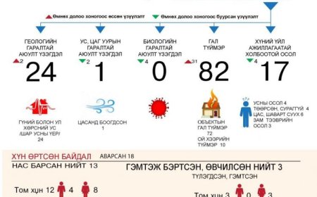 АЮУЛТ ҮЗЭГДЭЛ, ОСЛЫН УЛМААС 13 ХҮН АМИА АЛДСАН БАЙНА