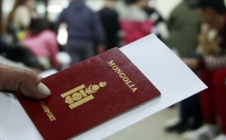 МОНГОЛ УЛСАД ВИЗГҮЙ ЗОРЧИХ ОРНУУД