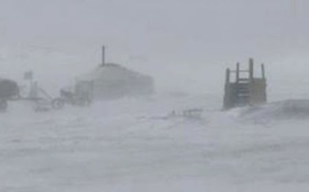 ШОРООН ШУУРГА ШУУРЧ, ЭРС ХҮЙТРЭХИЙГ ОНЦГОЙЛОН АНХААРУУЛЖ БАЙНА