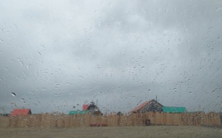 УВС АЙМГИЙН МАЛЧИН СУМАНД ХАМГИЙН ИХ БУЮУ 14 ММ БОРОО ОРЖЭЭ