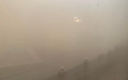 ШОРООН ШУУРГАНЫ АЮУЛТАЙ ҮЗЭГДЭЛ АЖИГЛАГДАЖ БАЙНА