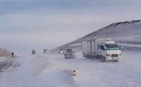 ӨНӨӨДӨР ИХЭНХ НУТГААР ЭРС ХҮЙТЭРЧ, ХАЛТИРГАА ГУЛГАА, МӨСТӨЛТ ҮҮСЭЖ БОЛЗОШГҮЙ БАЙНА