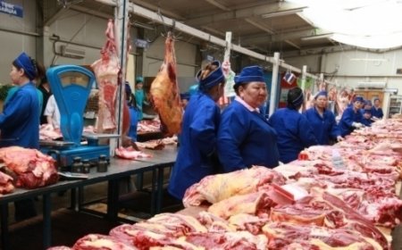 ХУДАЛДААНЫ ТӨВҮҮДЭД ХЯНАЛТ, ШАЛГАЛТ ХИЙГДЭЖ БАЙНА