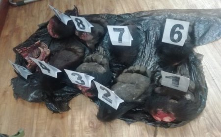 ХҮРЭН БААВГАЙН САВРЫГ БУСДАД ХУДАЛДАХЫГ ЗАВДЖЭЭ