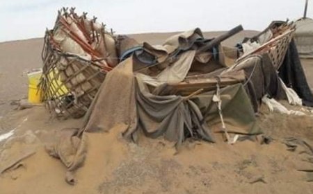 СИНЬХУА: МОНГОЛД ШОРООН ШУУРГАНЫ УЛМААС 32 АЙЛ ОРОН ГЭРГҮЙ БОЛЖЭЭ