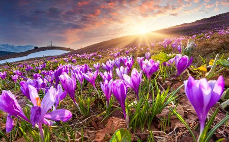 ӨНӨӨДӨР ИХЭНХ НУТГААР ЦАГ АГААР ТОГТУУН, ДУЛААН БАЙНА