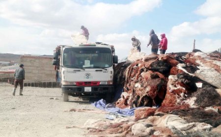 ЭМЭЭЛТ ЗАХЫН ТҮҮХИЙ ЭДИЙН ҮНЭ ХАНШ