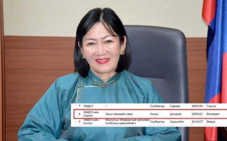 ЭМИЙН СОНСГОЛ: ЭРҮҮЛ МЭНДИЙН САЙД АСАН А.ЦОГЦЭЦЭГ ЭМИЙН САЛБАР ДАХЬ “ӨЛЗИЙДЭН“ ГЭХ КОМПАНИТАЙ ХАМААРАЛТАЙ