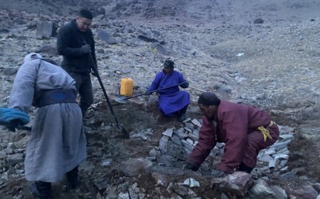 ИРВЭС АЙЛЫН МАЛД ХАЛДАХ АСУУДЛЫГ БУУРУУЛАХААР БОРОО, ЦАСНЫ УС ХУРИМТЛУУЛАХ 13 ЦӨӨРӨМ, ТОГТООЛ ХИЙЖЭЭ