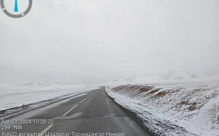 СОЛОНГОТЫН ДАВААНД ЦАС ОРЖ, ХАЛТИРГАА ГУЛГААТАЙ БАЙНА