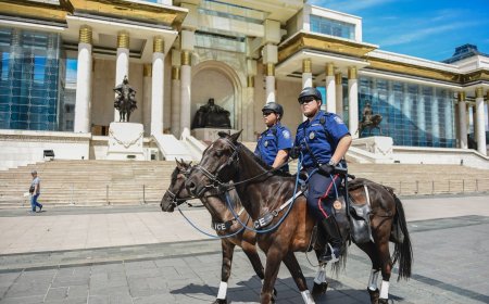 МОРЬТ ЭРГҮҮЛ АЖИЛЛАЖ ЭХЭЛЛЭЭ