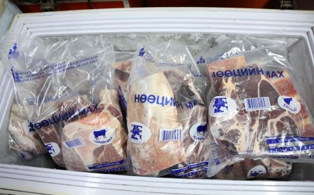 НӨГӨӨДӨР НӨӨЦИЙН МАХНЫ ӨРГӨТГӨСӨН ХУДАЛДАА БОЛНО