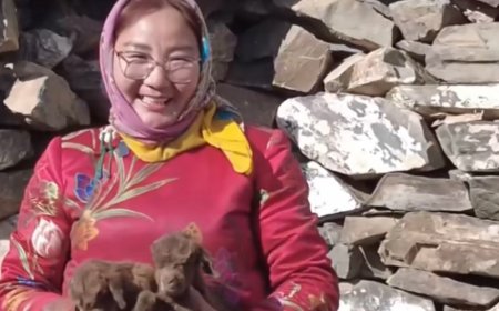 МАЛЧИН Э.ОРГИЛБУЛАГИЙНД 70 ЯМАА ИШИГЛЭХЭЭС 15 НЬ ИХЭРЛЭЖЭЭ