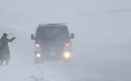 ЦАС ОРЖ, ЦАСАН ШУУРГА ШУУРНА