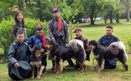 МОНГОЛЫН ГУРВАН БАНХАР ДЭЛХИЙН РИНГЭНД ӨРСӨЛДӨЖ БАЙНА