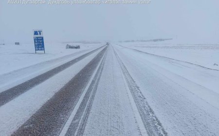 МАНДАЛГОВЬ ЧИГЛЭЛД ЦАС ОРЖ ХАЛТИРГАА ҮҮСЖЭЭ