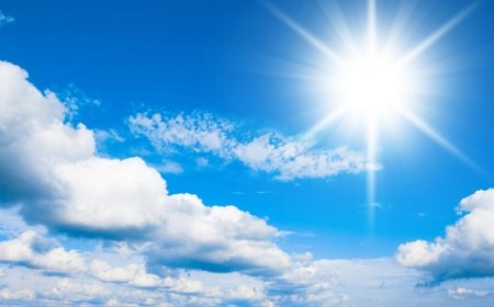 ИРЭХ 7 ХОНОГИЙН ЦАГ АГААР