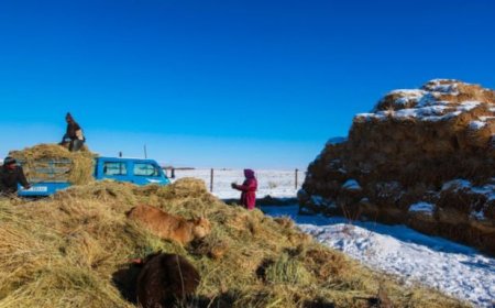 ӨВС 5000 ТӨГРӨГИЙН ҮНЭТЭЙ БАЙНА