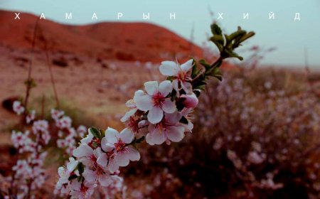 ХАМАРЫН ХИЙДЭД САКУРА ЦЭЦЭГЛЭЖЭЭ