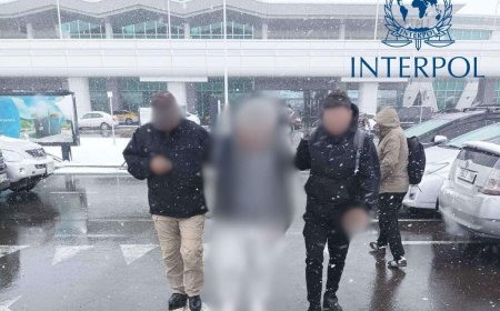 ИНТЕРПОЛООР ЭРЭН СУРВАЛЖЛАГДАЖ БАЙСАН ИРГЭНИЙГ “ШУВУУ” АЖИЛЛАГААНЫ ХҮРЭЭНД АЛБАДАН АВЧИРЛАА