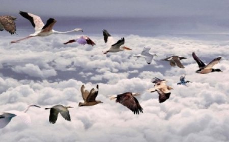 “ДЭЛХИЙН НҮҮДЛИЙН ШУВУУДЫН ӨДӨР” ТОХИОЖ БАЙНА