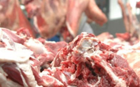 ҮХРИЙН ЦУЛ МАХ НЭГ КГ 19.000-22.000  ТӨГРӨГИЙН ҮНЭТЭЙ БАЙНА