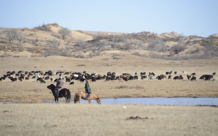 БЭЛЧЭЭРИЙН УРГАМАЛ НИЙТ НУТГИЙН 10 ОРЧИМ ХУВЬД ЦУХУЙГААГҮЙ БАЙНА
