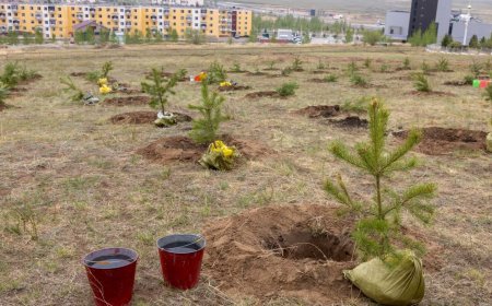 “ЭРДЭНЭТ ҮЙЛДВЭР” 2031 ОН ХҮРТЭЛ 100 САЯ МОД ТАРЬЖ УРГУУЛНА