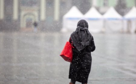 ОЙРЫН ТАВ ХОНОГТ ИХЭНХ НУТГААР ЦАС, БОРОО ОРНО