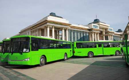 НОГООН АВТОБУСНЫ АСУУДЛААРХ ТҮР ХОРОО МАРГААШ ХУРАЛДАЖ, СОНСГОЛЫН ТОВОО ТОГТООНО
