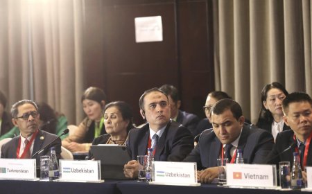 БАРИМТАТ ӨВИЙН АЗИ НОМХОН ДАЛАЙН БҮСИЙН ЧУУЛГАН УЛААНБААТАР ХОТНОО ЭХЭЛЛЭЭ