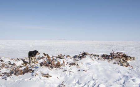 СҮХБААТАР АЙМГИЙН ОНЦГОЙ КОМИССТ 300 САЯ ТӨГРӨГ, ХОЁР ТОНН ШАТАХУУН ОЛГОХООР ШИЙДВЭРЛЭЖЭЭ