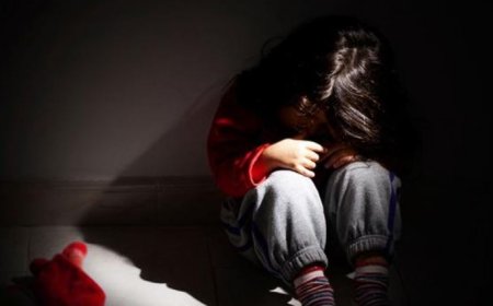 2024 ОНЫ ЭХНИЙ НЭГДҮГЭЭР УЛИРАЛД СХД-Т 47 ХҮҮХЭД ЭРҮҮЛ МЭНД, ӨМЧЛӨХ ЭРХИЙН ЭСРЭГ БОЛОН ХҮЧИНДЭХ ГЭМТ ХЭРГИЙН УЛМААС ХОХИРЧЭЭ