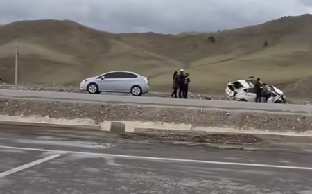 Дарханы замд гарсан ослын улмаас нэг хүн нас барж, хоёр хүн хүнд гэмтжээ