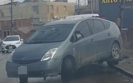 5 БУЛ НЬ МУЛТАРЧ, ЖОЛООЧ ЗАМ ЧӨЛӨӨЛӨХИЙГ ХҮСЖЭЭ