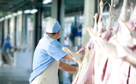 ХОНИНЫ ЦУЛ МАХ 13.500-14.500 ТӨГРӨГИЙН ҮНЭТЭЙ БАЙНА