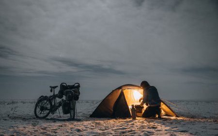ГАДААД ИРГЭН МОНГОЛД АЯЛЖ БАЙХДАА ЗОДУУЛЖЭЭ