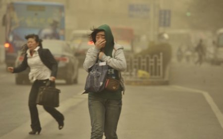 ШОРООН ШУУРГА ШУУРНА