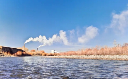 ТУУЛ ГОЛООС НЭР, ХАЯГ ТОДОРХОЙГҮЙ ЭМЭГТЭЙ ХҮНИЙ ЦОГЦОС ОЛДЖЭЭ