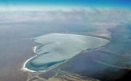 БАЯНХОНГОР АЙМГИЙН БӨӨНЦАГААН НУУР ОРЧМЫГ ОРОН НУТГИЙН ТУСГАЙ ХАМГААЛАЛТАД АВЛАА