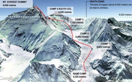 МОНГОЛЫН УУЛЧДЫГ ЭРЭН ХАЙХ АЖИЛЛАГААГ ЗОГСООСОН ТАЛААР МЭДЭЭЛЛЭЭ