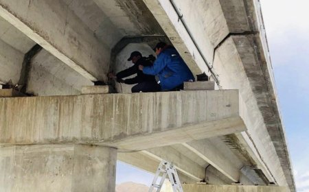 20 ГҮҮРЭНД АШИГЛАЛТЫН ТҮВШИН ТОГТООХ ҮЗЛЭГ ХИЙЖЭЭ