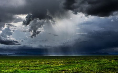 АЛТАЙ, ХАНГАЙ, ХӨВСГӨЛ, ХЭНТИЙН УУЛАРХАГ НУТГААР ДУУ ЦАХИЛГААНТАЙ ААДАР БОРОО ОРНО