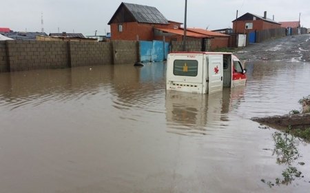 ҮЕРИЙН ЭРСДЭЛТЭЙ БҮСЭД 614 АЙЛ БАЙНА