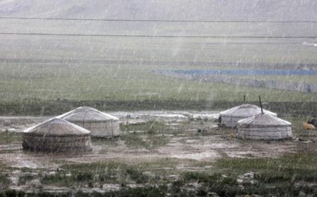 7, 8-Р САРД ГЭНЭТИЙН УС ИХТЭЙ ААДАР ОРОХ ТӨЛӨВТЭЙ БАЙНА