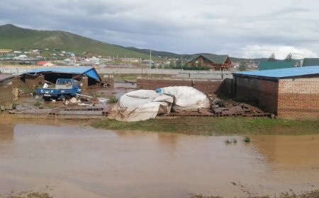 ҮЕРИЙН ЭРСДЭЛТЭЙ БҮСЭД 2060 АЙЛ БАЙГААГИЙН 460 НЬ ЗӨВШӨӨРӨЛГҮЙ