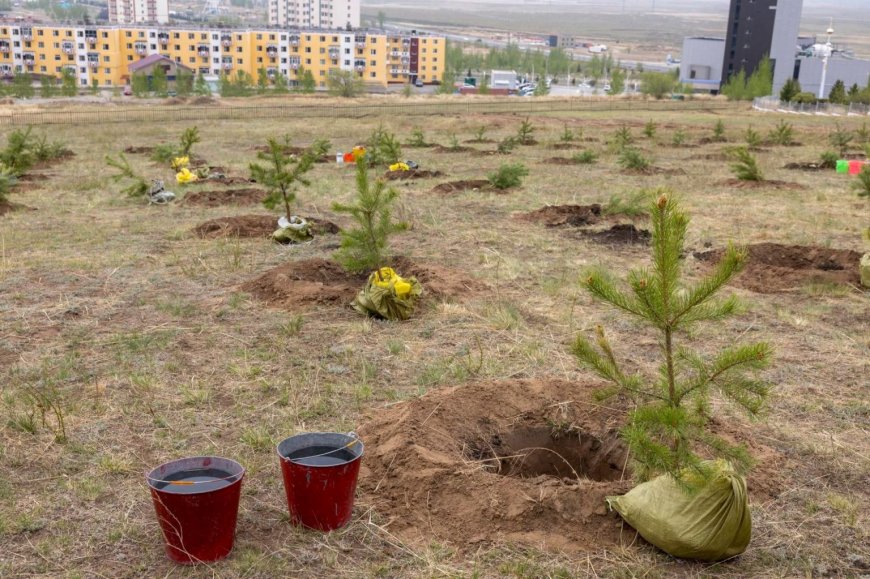 “ЭРДЭНЭТ ҮЙЛДВЭР” 2031 ОН ХҮРТЭЛ 100 САЯ МОД ТАРЬЖ УРГУУЛНА